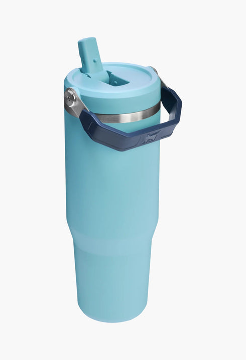 Agave - The IceFlow™ Flip Straw Tumbler | 30 OZ - GLAM MODA